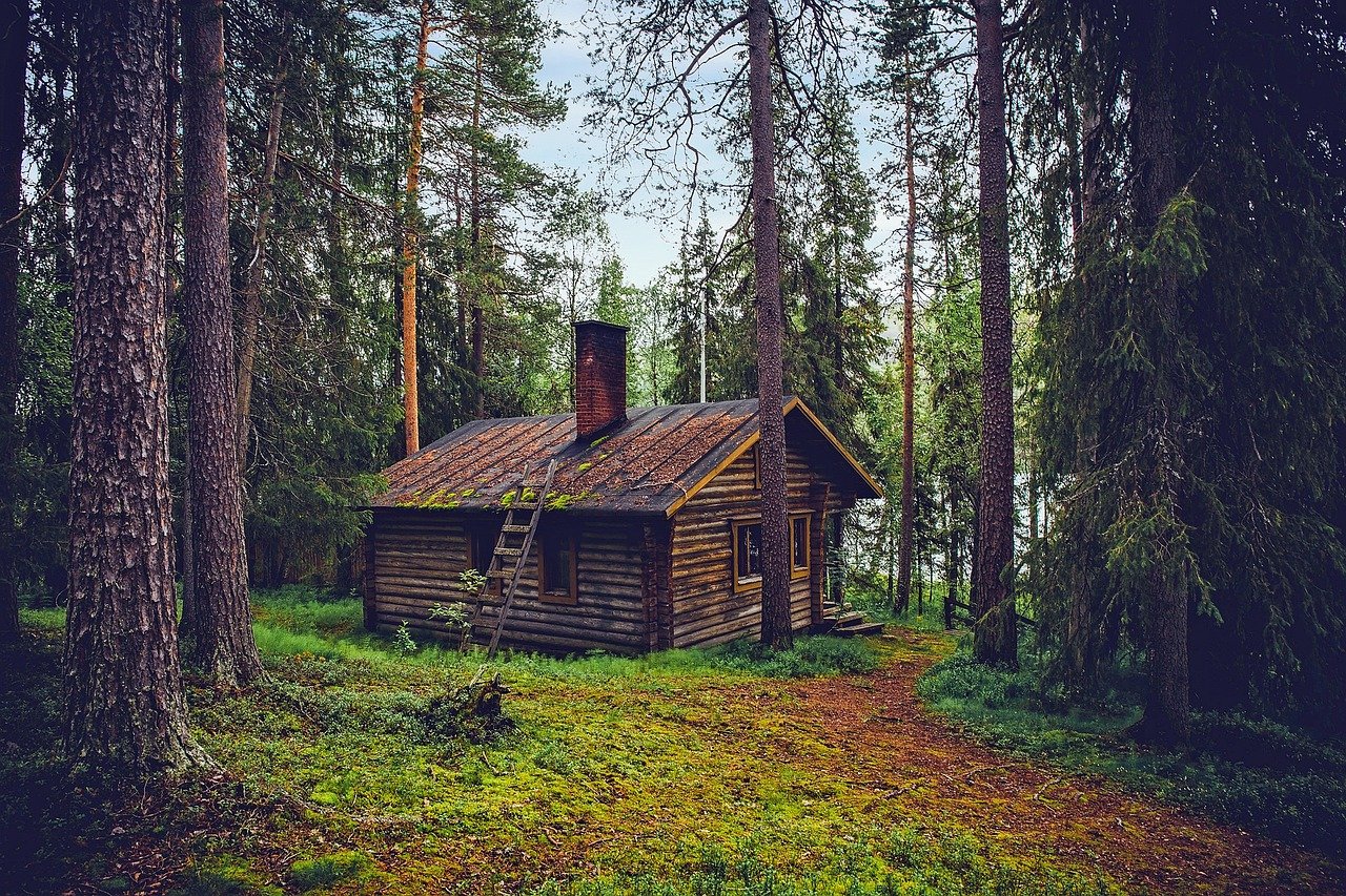 Log cabin under tree cover in a wooded hollow