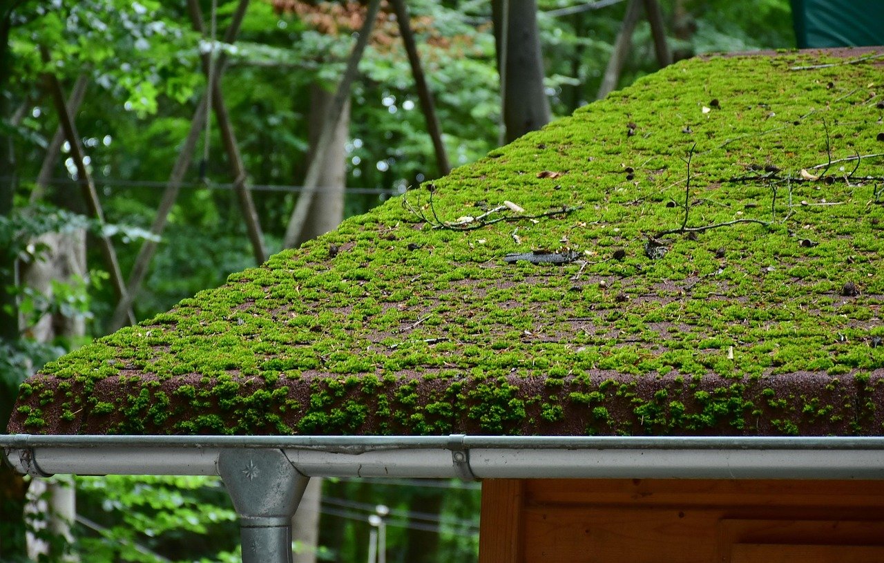 Standing-seam metal roof on a Kentucky home